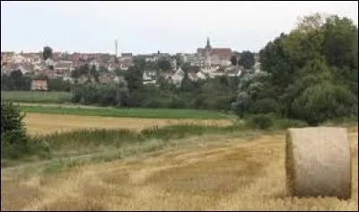 Ville Seine-et-Marnaise, Dammartin-en-Goële se situe en région ...