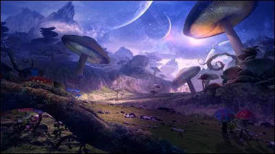 Qui est Bonnie ? (dans la saison 1)