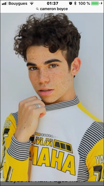 Dans quel film "Disney Chanel" a-t-il joué ?