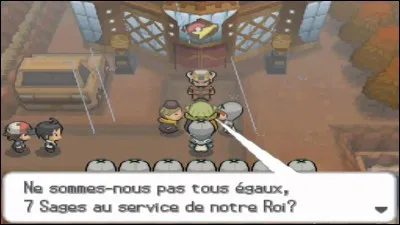 Dans "Pokémon Version Blanche", qui ne peut-on pas trouver comme sage ?
