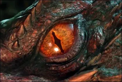 Qu'est-ce qu'un dragon de pierre ?