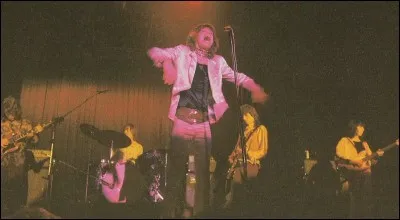 Un de leurs succès est "Not Fade Away", ce groupe c'est...