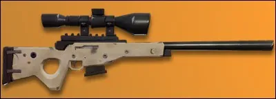 Quel est le nom de cette arme ?