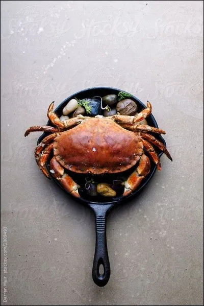 Un crabe, un tourteau. Quel est un de ses surnoms ?