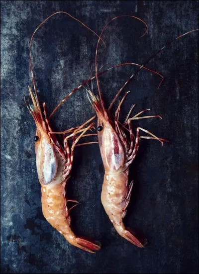 Des crevettes roses, (mais pas les grosses qui n'ont pas de goût). Quel nom ont-elles chez le poissonnier ?