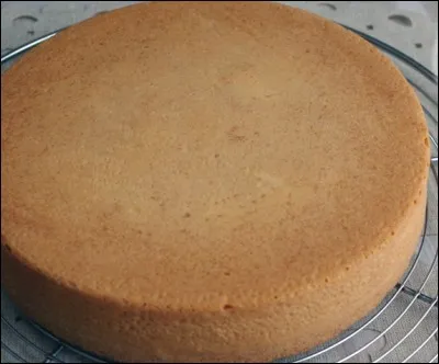 Quel est ce biscuit ?