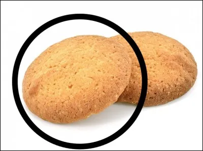 Quel est ce biscuit ?