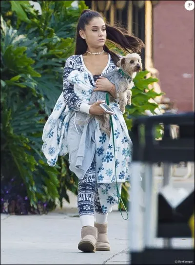 Quel jour s'est produit le concert hommage ?