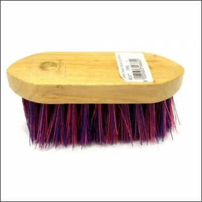 Quelle est cette brosse ?