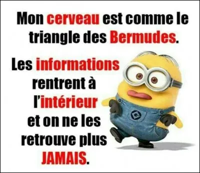 Dans quel océan se situe 'le Triangle des Bermudes' ?