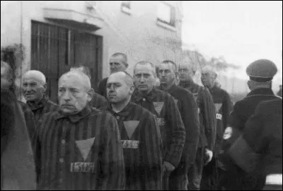 Pendant la guerre de 39-45. Quelle était la couleur des triangles, cousus sur les vêtements, que les Nazis imposaient aux homosexuels ?