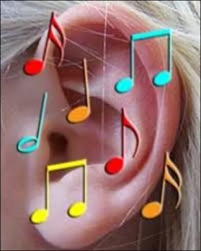 Quel nom donne-t-on à l'aptitude à reconnaître, à l'écoute d'un son, les notes de musique correspondantes sans référence auditive préalable ?