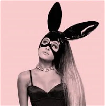 Passons en 2017. Malheureusement cette année fut pour Ariana une année difficile. Lors d'un de ses concerts à Manchester, un attentat fit 22 victimes. Pour rendre hommage à ses fans morts, elle prit la décision de donner une concert dont le bénéfice serait remis aux familles des victimes. Comment se nomme ce concert ?