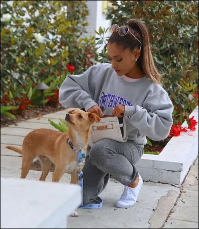 Comment se nomme son chien sur la photo ci-dessus ?