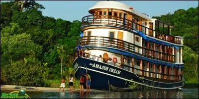 Changeons de rythme et de costumes pour profiter d'une faune et d'une v&eacute;g&eacute;tation exceptionnelles et d'un chaleureux peuple. Cette grande for&ecirc;t tropicale, offre un patrimoine naturel &agrave; la fois unique et fragile.On parle de fleuves, larges comme des mers avec 10 millions d'esp&egrave;ces v&eacute;g&eacute;tales et animales, dont un tiers, identifi&eacute;. Cette invitation au voyage accompagne un s&eacute;jour sur ce si beau bateau.