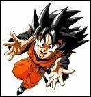 Comment s'appelle le dernier fils de San Goku ?