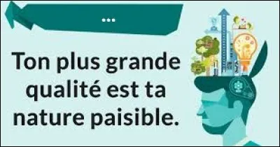 Quelle est ta plus grande qualit&eacute; ?