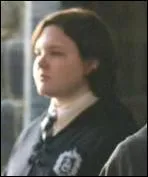 A quoi Harry apparente-il Millicent Bulstrode ?