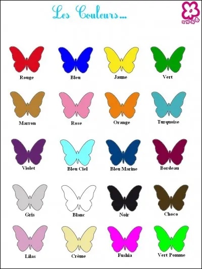 Quelle est ta couleur préférée ?