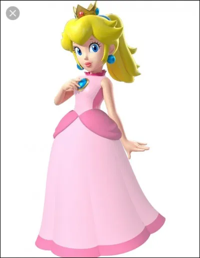 Qui kidnappe Peach dans Mario Bross ?