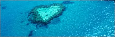 Quelle est ta couleur préférée ?