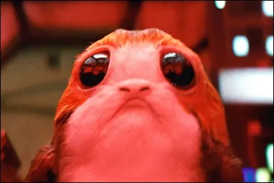 Quelle est la couleur des yeux du Porg ?