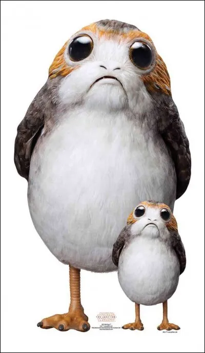 Qui a créé le Porg ?