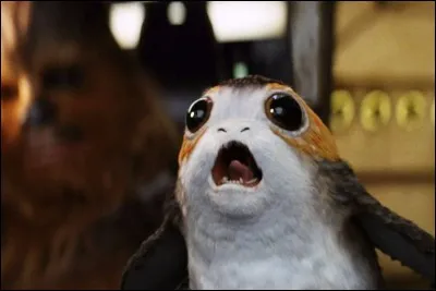 Qui est l'ami des Porgs ?