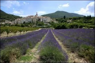 Nous traversons ces champs de lavande et nous arrivons à Venterol. Village d'Auvergne-Rhône-Alpes, dans le parc naturel régional des Baronnies provençales, il se situe dans le département ...