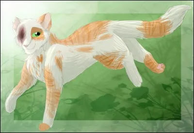 Je suis une chatte blanche et rousse, borgne et avant de rejoindre la tanière des guerriers, j'étais chez les anciens, je suis...