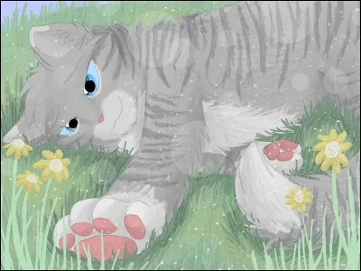 Selon mon père, je suis le portrait craché de ma mère, même si je ne l'ai jamais connue, je suis morte en tuant un puma qui menaçait la Tribu de l'Eau Vive, je suis...