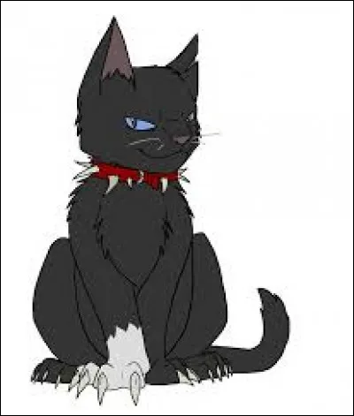 Je suis un petit chat noir avec une patte blanche, un collier de griffes et dents de chiens, je suis très sanguinaire et j'ai tué de nombreux chats, je suis...