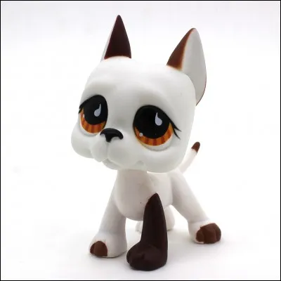 Quelle est la race de ce PetShop ?