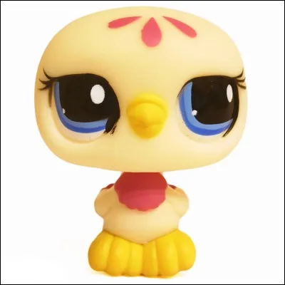 Quelle est la race de ce PetShop ?