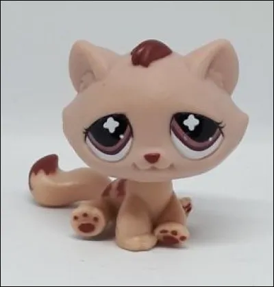 Quelle est la race de ce PetShop ?