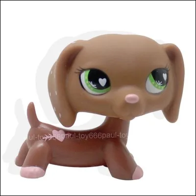 Quelle est la race de ce PetShop ?