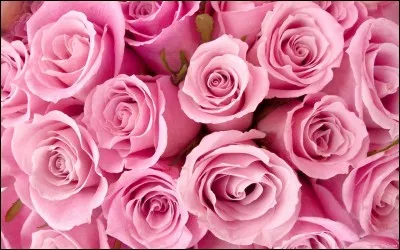 Avant, comment faisaient-ils des marshmallows ?