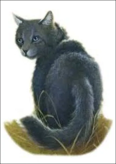 Qui est la premi&egrave;re apprentie de Nuage de Feu ?