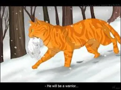 Qui sont les 2 personnages sur cette image ?