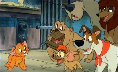 Quel est le titre de ce film ?