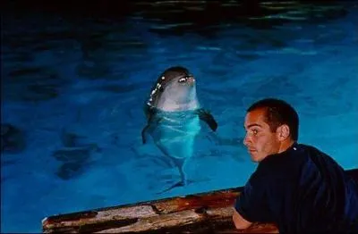 Quel est le titre de ce film ?