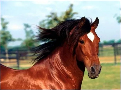 Quelle est cette robe ?