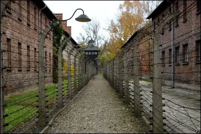 Quand le camp d'Auschwitz est-il libéré ?