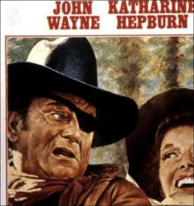 Quel est le titre de ce film ?