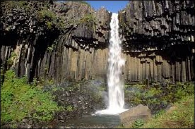 Située en Islande, dans le parc national de Skaftafell, les falaises de roches noires autour de la cascade forment un orgue. Elles portent le nom de Svartifoss, qui signifie en islandais ...