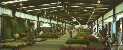 Depuis 1969 Rungis a remplacé les halles de Paris. Mais dans quel département se trouve cette agglomération ?