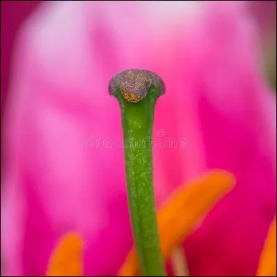 Quelle personne est intruse ?