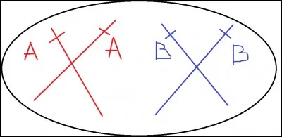 Sur cette photo, les deux chromosomes ne sont pas homologues ; ils sont :