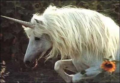 Comment dit-on "licorne" ?