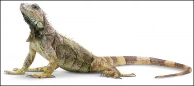 Et son p&egrave;re ?